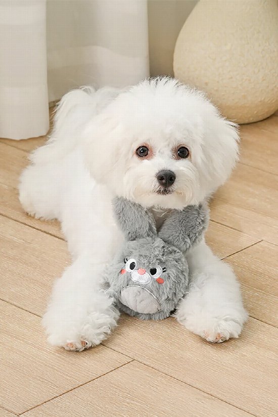 Bunny Ball Dog Toy